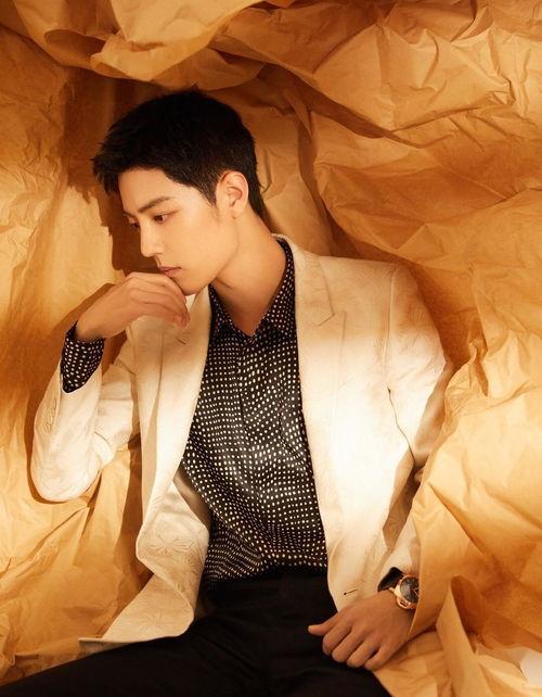 肖战最新爆料演员,演员背后的心路历程与成长故事